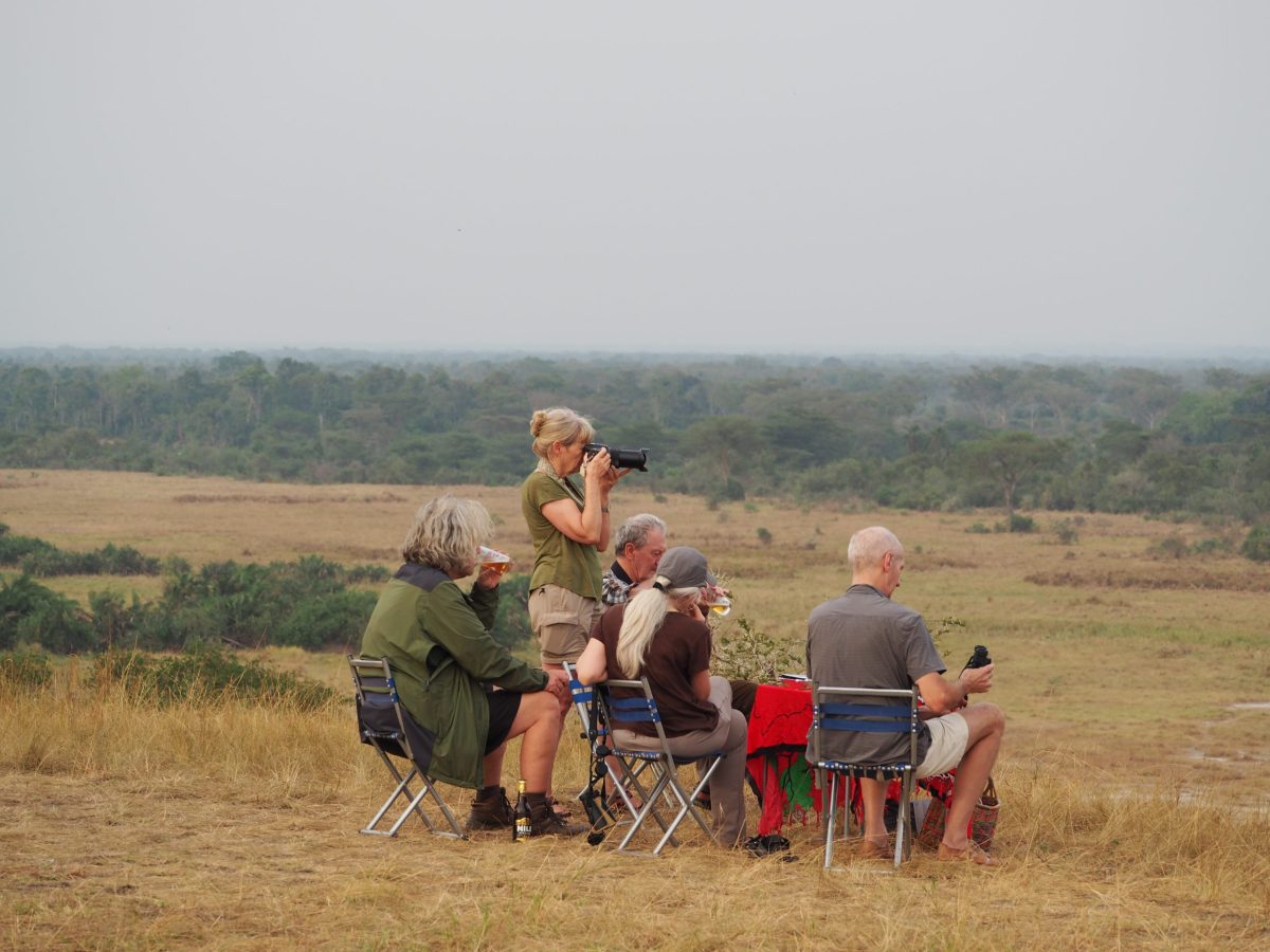 Rwanda Uganda Gorilla Safaris